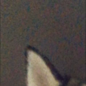 Meet your Posher, Rick